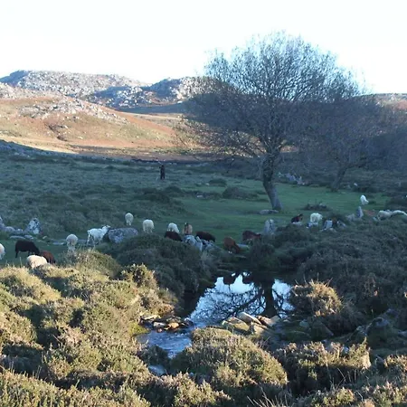 A Avozinha - * Арока