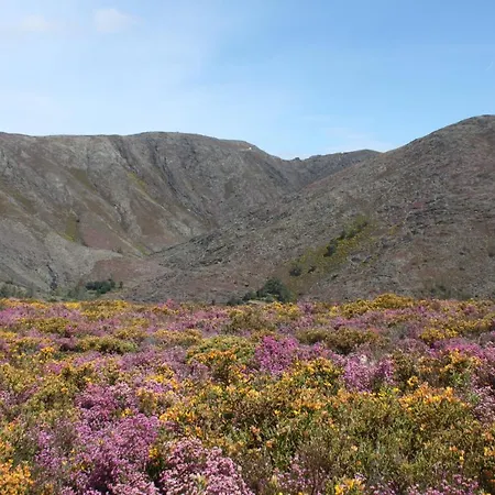 Feriehus A Avozinha -