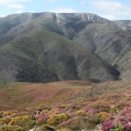 A Avozinha - * Arouca