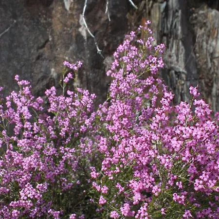 A Avozinha - Feriehus Arouca
