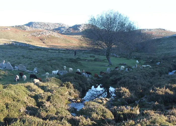 A Avozinha - * Arouca