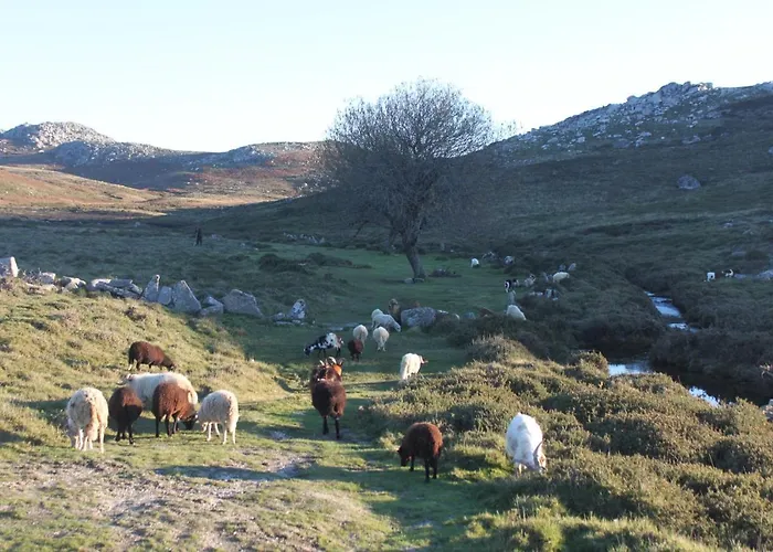 A Avozinha - Nyaraló