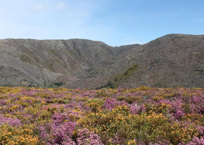 Ferienhaus A Avozinha -