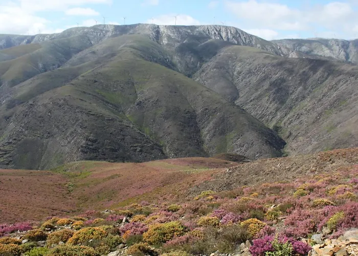 A Avozinha - * Arouca