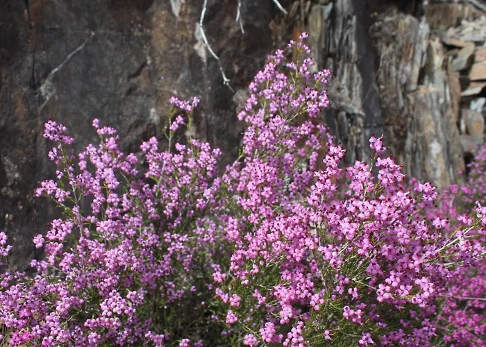 A Avozinha - Nyaraló Arouca